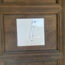 광주양림역사문화탐방 이미지