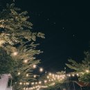 청수다슬기 | 강원도 춘천 자연에머물다 계곡 글램핑,캠핑