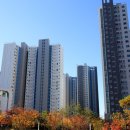 행복 스테이 이미지