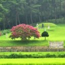 반남박씨박원도묘 이미지