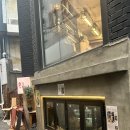 [홍대] 고양이가 있는 한식주점 “홍담” 내돈내산 후기!