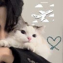 양희농장 MK스포츠