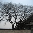 남문5길 이미지