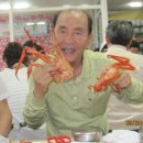 도송 이미지