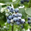 신기원건강 이미지