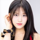 529 이미지