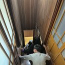 순천 고산정원 &amp; 리비에르 방문 후기 | 목향장미와 감성 카페까지 완벽했던 순천 데이트 코스