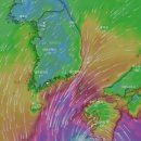 고흥-10호 이미지