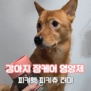 맥아 | 강아지 공복토 영양제 후기｜숙지황·복령·맥아·차전자+유산균 조합 정리