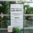 이천수족관 | 🐟 이천 아이랑 가볼만한곳｜이천시환경학습관 후기 (무료입장 + 실내체험)