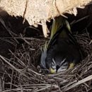 정선 둥지펜션 이미지