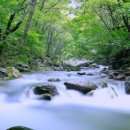 덕과면 덕동마을 이미지