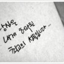 천년의사랑 이미지