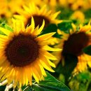 지구촌공인중개사 이미지