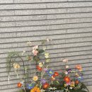 프로젝트 파이브 | 🌟패스트파이브 공유오피스 한남점 솔직 이용 후기