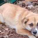 건달산로 이미지