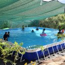 미르오토 이미지