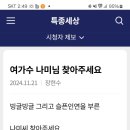 MBN 특종세상에제보했습니다 이미지