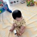 동시랑 그림책으로 놀기 | [생후 247일] 8개월 아기 일상 / 책 육아의 슬픈 현실 (사망한 플랩북)