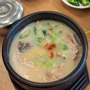 가마꽃돼지 이미지