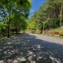 별드림캠핑장 | [가평 캠핑장 추천] 별드림 캠핑장 가평 별드림 캠핑장, 힐링 명소로 추천