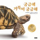 그림책이 궁금해 이미지