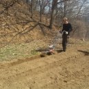 온리누스 이미지