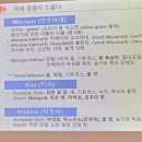 와인마스터 | 국내최초 조지아음식 &amp; 조지아와인 페어링 마스터클래스 후기 | 모드라운지 역삼점 와인 행사