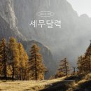 세무회계가을