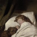 강아지는내친구 이미지