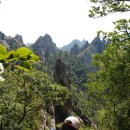 공룡발톱 이미지