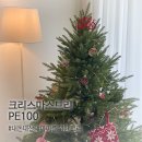 땀박골 | 크리스마스트리 고르는법 #PE100트리 #내돈내산 #1년후기