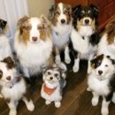 룰루랄라 이미지