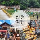 지리산참펜션별채 | 경남 산청 계곡 추천 수심 깊은 계곡 펜션 내대 예치마을 숙소