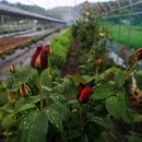 수자원농장 이미지