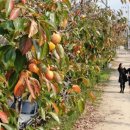 송고마을회관 이미지