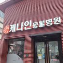 케나인동물병원 | 대전 탄방동 케나인동물병원 방문 후기 (정보 + 솔직후기)