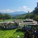 6월 13일 (토) 경남산청 웅석봉 달뜨기 능선 [지리산의 또다른 얼굴] 산행안내 및 예약 이미지
