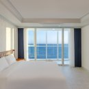 팔레드시즈 이미지