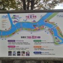 장성읍게이트볼장 이미지