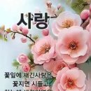 몹시 - 종로구 자하문로 36 | 몹시