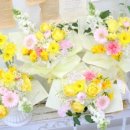 안일초교병설유치원 이미지