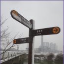 수원팔색길 매실길 이미지