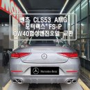 한스게러지 이미지