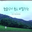 라보장 이미지