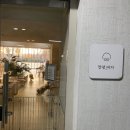 안녕 강아지 | 일산 강아지 까페, 안녕 아가 방문 후기