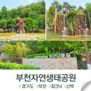 자연생태공원 수목원 야외2 | 부천 자연생태공원 무릉도원수목원 피크닉 나들이 산책코스로 굿