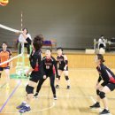 남춘천초등학교 이미지