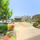 대덕승마장 이미지