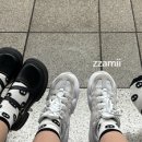 오지공 이미지